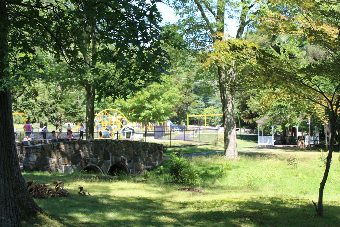 Chestnut Hill Park