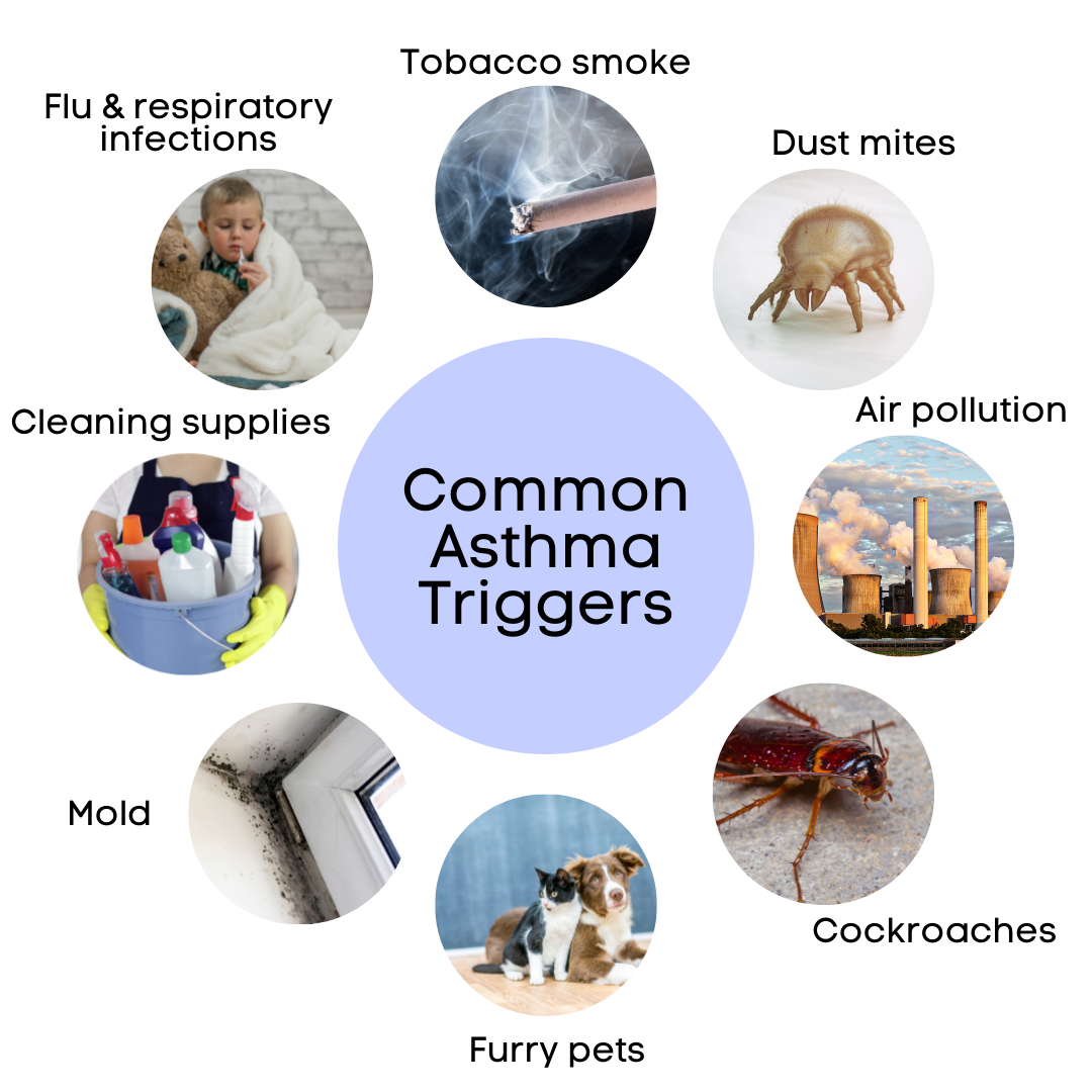 Common Asthma Triggers: Tobacco smoke, dust mites, air pollution, cockroaches, furry pets, mold, cleaning supplies, and flu and respiratory infections